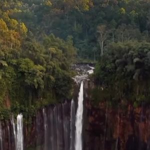 Meet your Posher, Canary